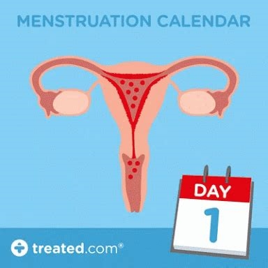 menstruation gif nude
