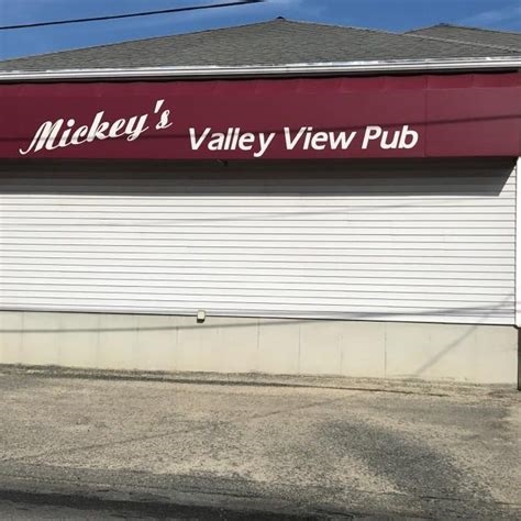 mickeys valley view pub nude