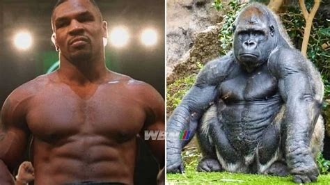 mike tyson vs gorilla reddit nude