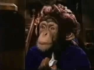 monkey business gif nude