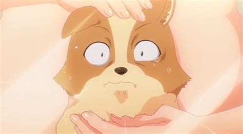 my life as inukai-san's dog r34 nude