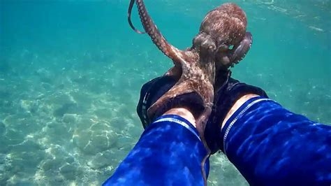 octopus tickle nude