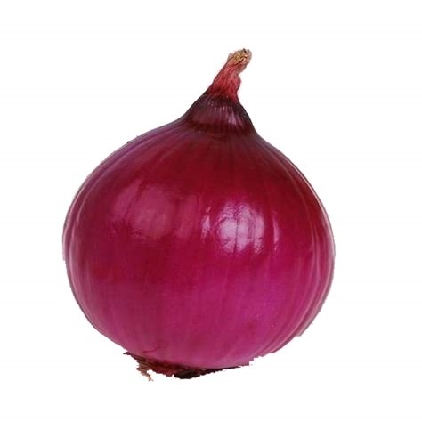 onion transparent background nude