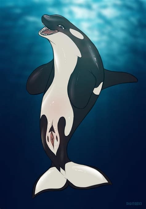 orca yiff nude