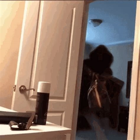 packing up and leaving gif nude