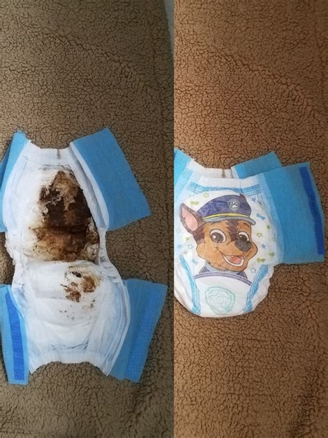 paw patrol pull up diapers nude