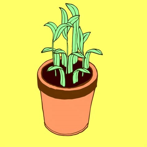 plant gifs nude