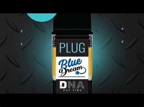 plugplay blue dream nude