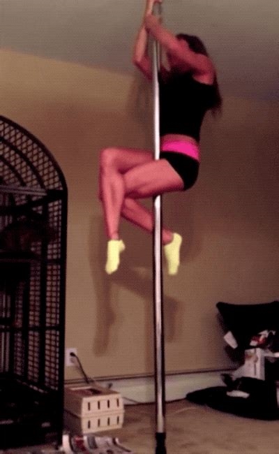 pole dancers gif nude