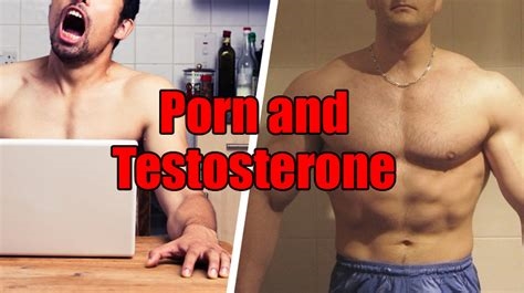 porn and testosterone nude