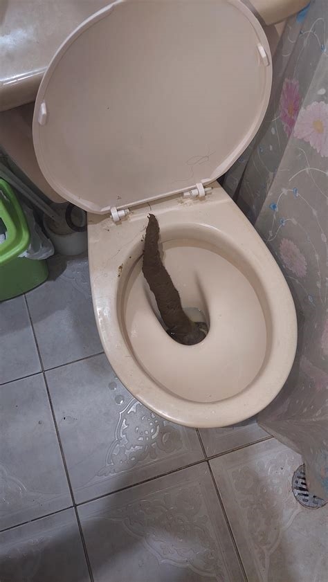 public poop video nude