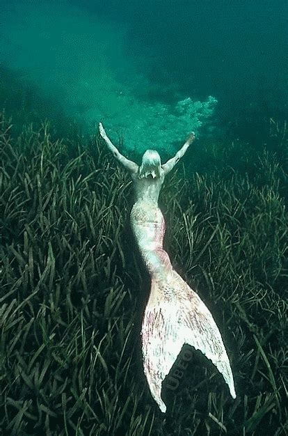 sexy mermaid gifs nude
