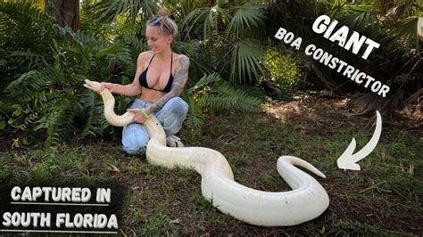 snake erotic nude