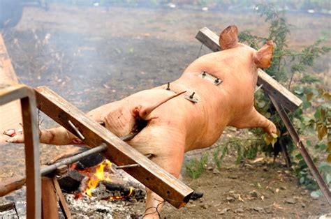spit roasted nude