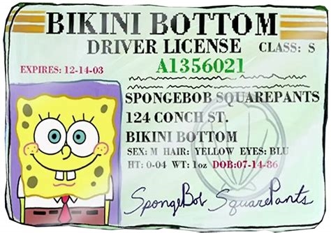 spongebobs drivers license nude