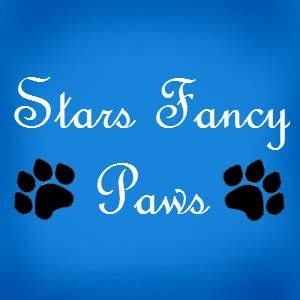 stars fancy paws nude