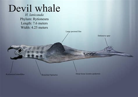 the devil whale nude
