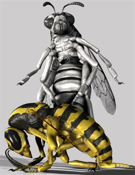 the wasp vore nude
