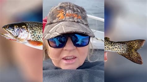 trout video porn nude