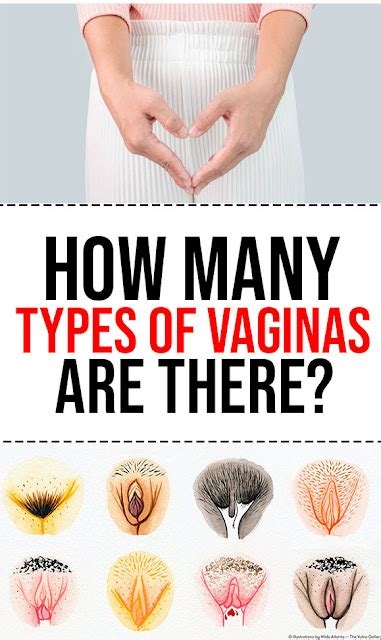 vagina's photos nude