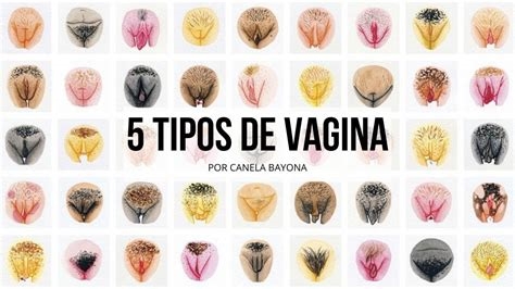 vaginas perfectas nude
