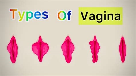 vagine sexy nude