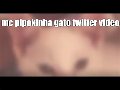 video de mc pipokinha com o gato nude