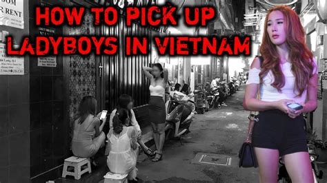 vietnam ladyboys nude