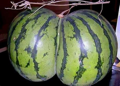 watermelon butt porn nude