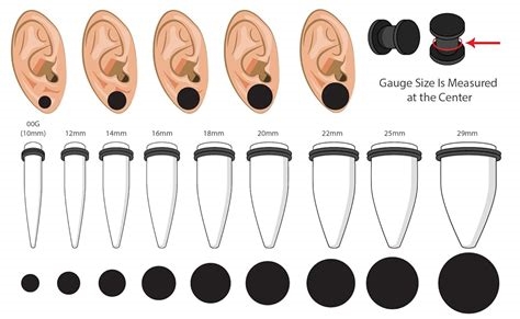 what is the next size up from 00g nude