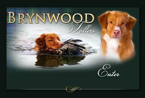 www.brynwood.com nude