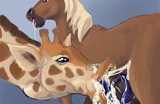 horse long penis tongue cum inside mouth licking balls sex giraffe open oral deletion flag options ball