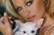 pamela anderson activist animal lover actress moderndogmagazine visit top gif