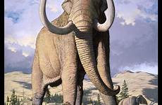 mammoth columbian carl buell elephant prehistoric paleoillustration animals difference between tumblr park wildlife vs colombian world ice age saved extinct