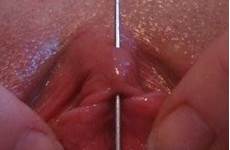 clit clitoris needles pussymodsgalore adult nude hood labia genital piercings modification pierced porno tumbex
