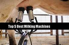 milking machines