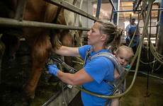 milking grassland midwest cow daughter perennial meagan seeks grasslands pasture dairy parlor farrell finn aims replace belleville wisconsin civileats