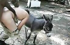 donkey sex women anal femefun man videos gratification bonks grabs ago years