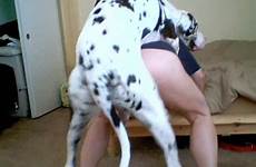 woman fucking dalmatian dog sex viewed dick most mature videos zoo hungry treat gives nice female very small big zootube1