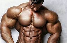 morphs hardtrainer01 bodybuilding bodybuilders bulging gods