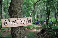 forest school activities nature schools primary kids learning preschool play outdoor education wood board information staying practitioners aid requirements safe
