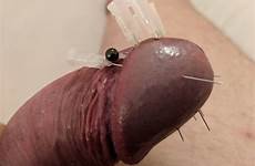 needle cbt fetish