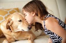 pet dog lover girl puppy charity 8ffc kisses labrador 1104 stock owner take dogs pets test needs signs do