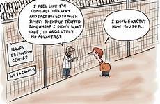 asylum seekers au kudelka advantage test cartoons november