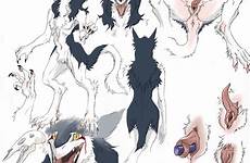 sergal furry wolf male anatomy sergals silves pussy reference female rain nsfw animal genitalia xxx vilous age hood creator clitoral