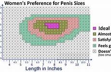 size penis chart preference women length womens measure average ideal penile inches authentic according between correctly thickness