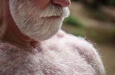 bear beard beards peludo muscular male