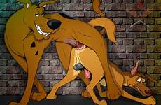scooby gay doo xxx gif rule furry rule34 sex respond edit male only