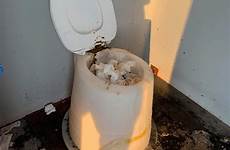 outhouse feces covered mla canada alberta parallel visitor 60th
