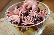 octopus boiled gekookte plaat gekochte krake platte